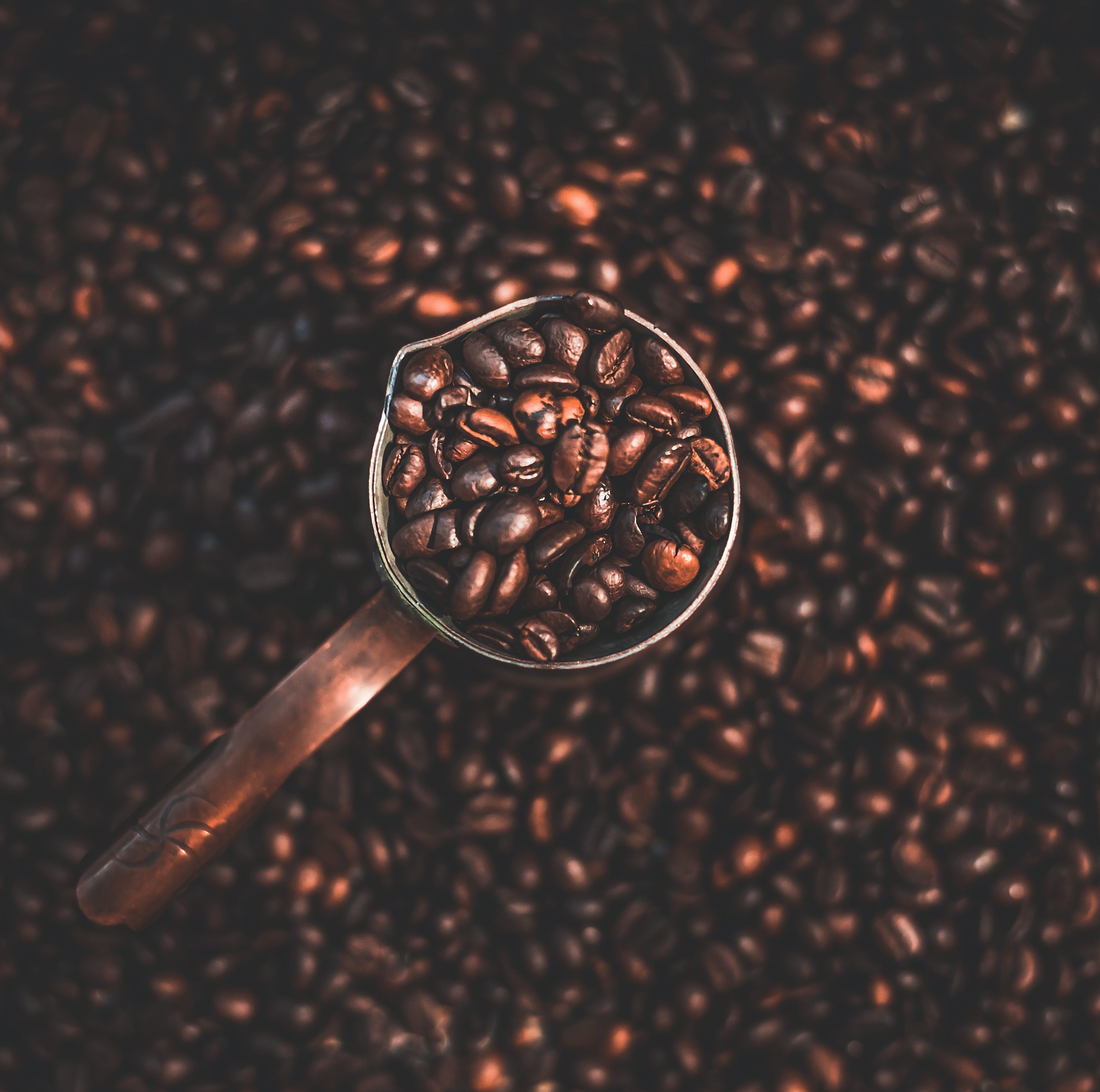 coffee beans